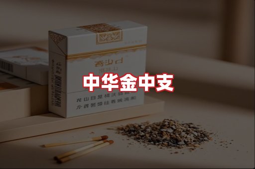 中华金中支
